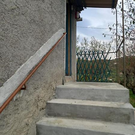 Ferienwohnung Casa Vita Vallebona Exterior foto
